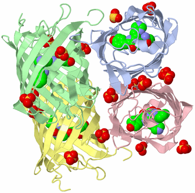 Image Asym./Biol. Unit