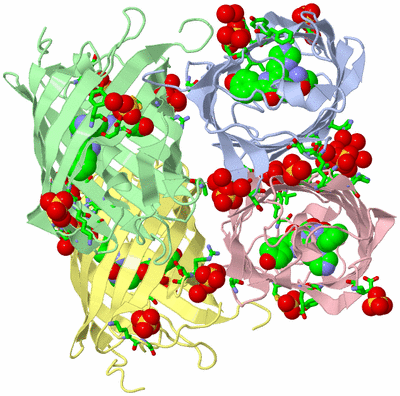 Image Asym./Biol. Unit - sites