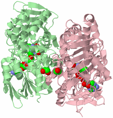 Image Biological Unit 2