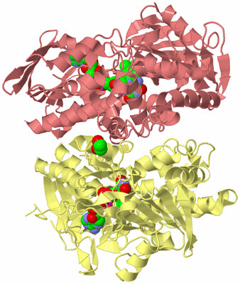 Image Biological Unit 3