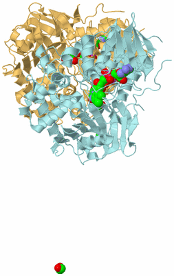 Image Biological Unit 4