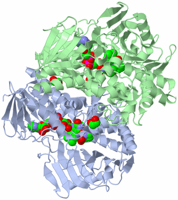 Image Asym./Biol. Unit