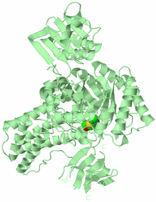 Image Biological Unit 2