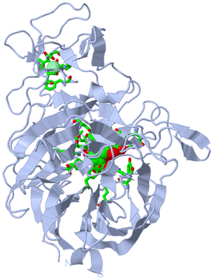 Image Biol. Unit 1 - sites