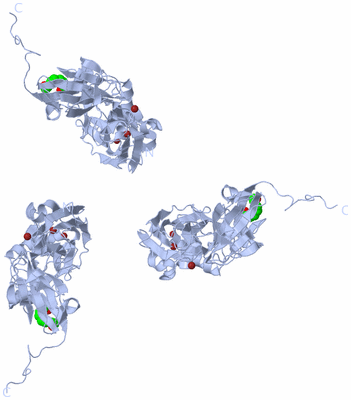 Image Biological Unit 1