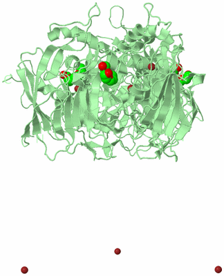 Image Biological Unit 2