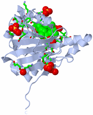 Image Biol. Unit 1 - sites