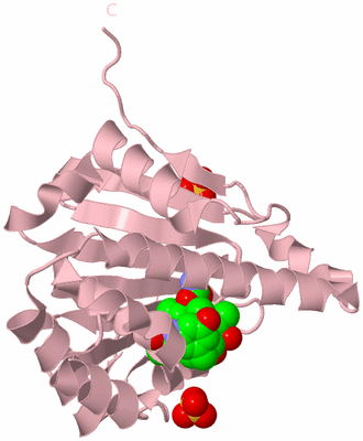 Image Biological Unit 3