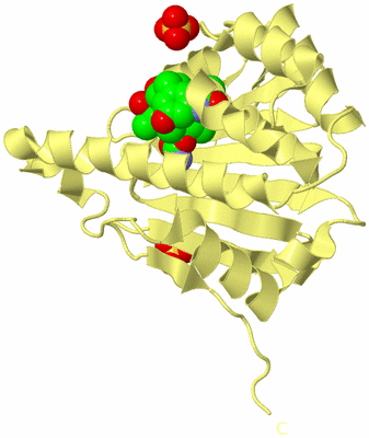 Image Biological Unit 4