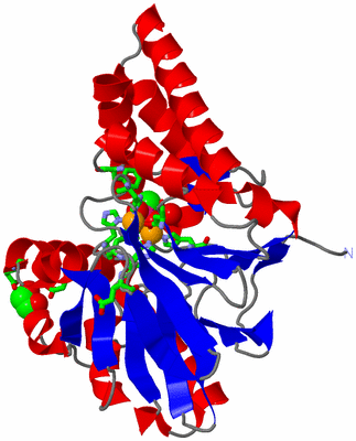 Image Asym. Unit - sites