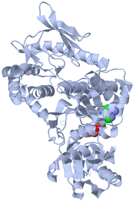 Image Biological Unit 1