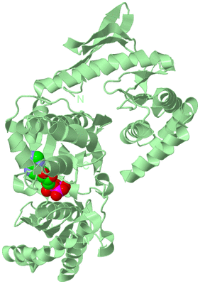 Image Biological Unit 2