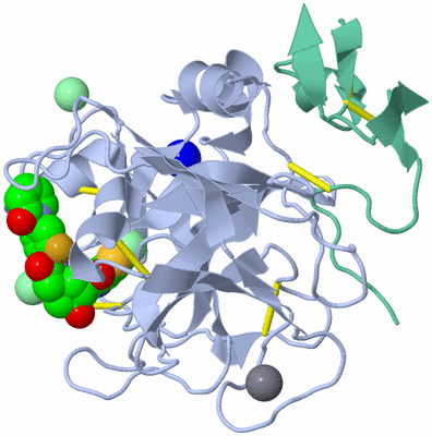 Image Biological Unit 1