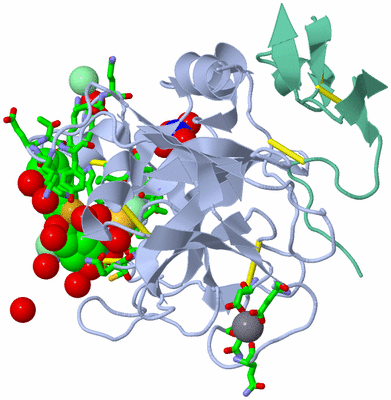 Image Biol. Unit 1 - sites