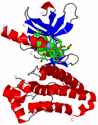 Image Asym./Biol. Unit - sites