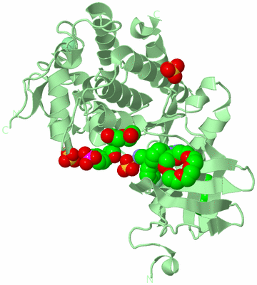 Image Biological Unit 2