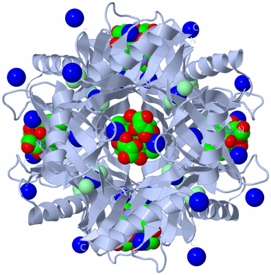 Image Biological Unit 1