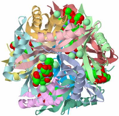 Image Asym./Biol. Unit