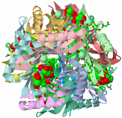 Image Asym./Biol. Unit - sites