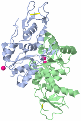 Image Asym./Biol. Unit