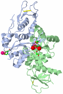 Image Asym./Biol. Unit - sites