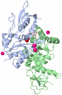 Image Asym./Biol. Unit