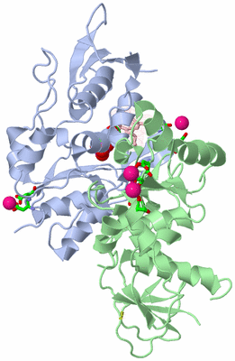 Image Asym./Biol. Unit - sites