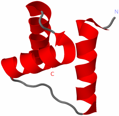 Image NMR Structure - model 1