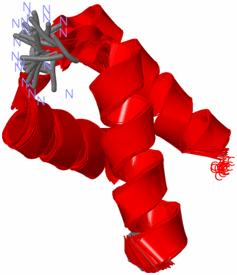 Image NMR Structure - all models