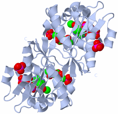 Image Biological Unit 1