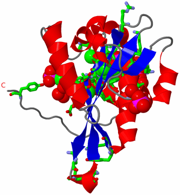 Image Asym. Unit - sites