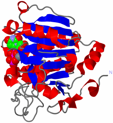 Image Asym./Biol. Unit