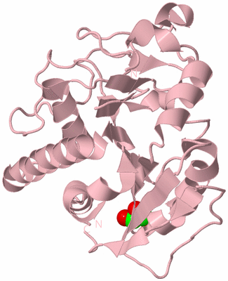 Image Biological Unit 3