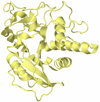 Image Biological Unit 4