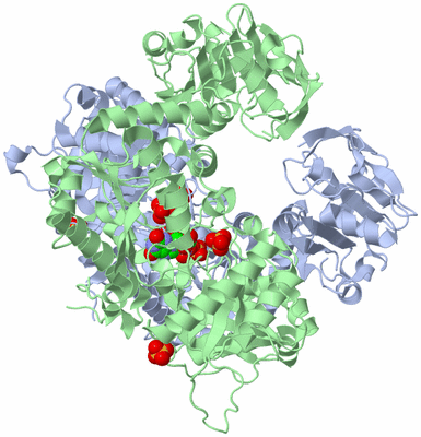 Image Asym./Biol. Unit