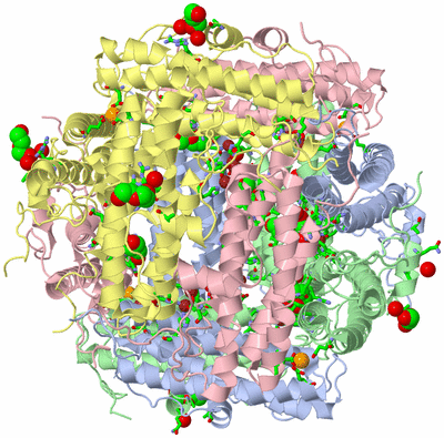 Image Biol. Unit 1 - sites