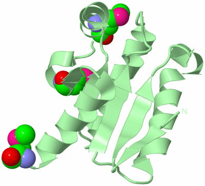 Image Biological Unit 2