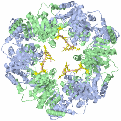 Image Biological Unit 1