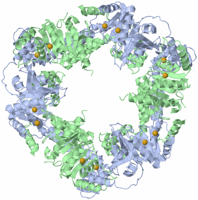 Image Biological Unit 1