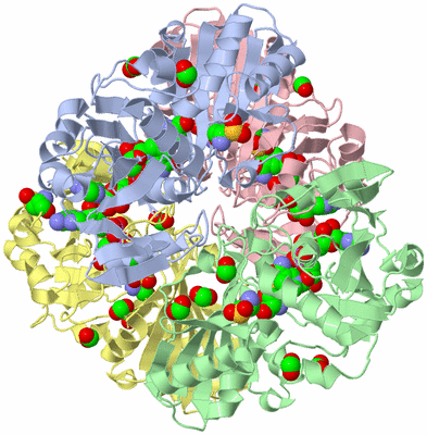 Image Asym./Biol. Unit