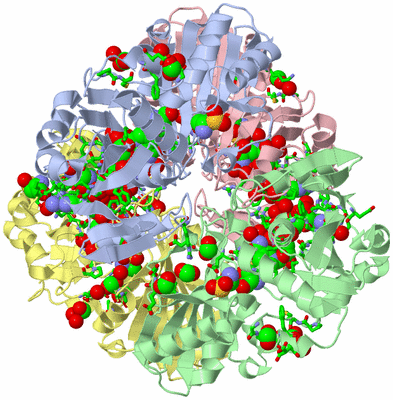 Image Asym./Biol. Unit - sites