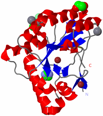 Image Asym./Biol. Unit