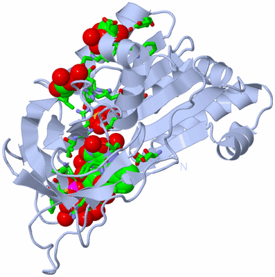 Image Biol. Unit 1 - sites