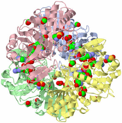 Image Asym./Biol. Unit