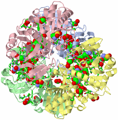 Image Asym./Biol. Unit - sites