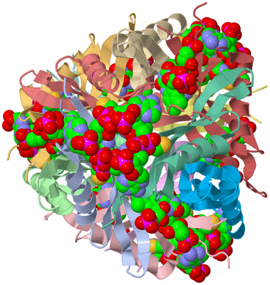 Image Asym./Biol. Unit