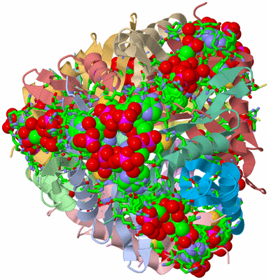 Image Asym./Biol. Unit - sites