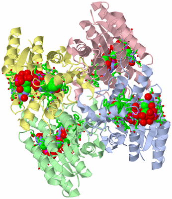 Image Asym./Biol. Unit - sites