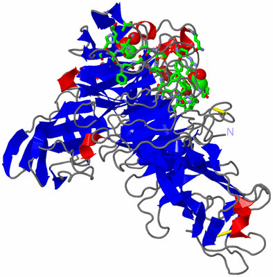 Image Asym./Biol. Unit - sites