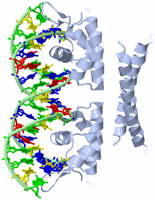 Image Biological Unit 1